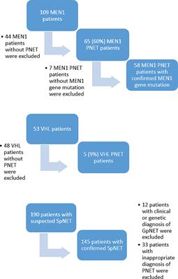 A Direct Comparison of Patients With Hereditary and Sporadic Pancreatic Neuroendocrine Tumors: Evaluation of Clinical Course, Prognostic Factors and Genotype–Phenotype Correlations